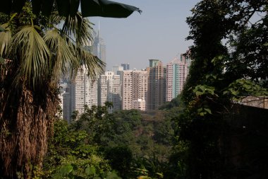 12 Kasım 2006 Bowen Yolu. Amiralt ve Hong Kong 'un manzarası