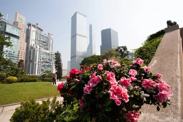 England Trädgård Government House Hong Kong Nov 2006 — Stockfoto