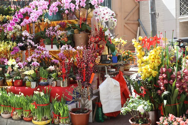 Fev 2021 Feira Flores Para Ano Novo Chinês Wan Chai — Fotografia de Stock