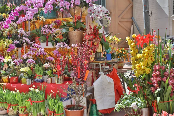 Feb 2021 Feria Flores Para Nuevo Año Chino Wan Chai —  Fotos de Stock