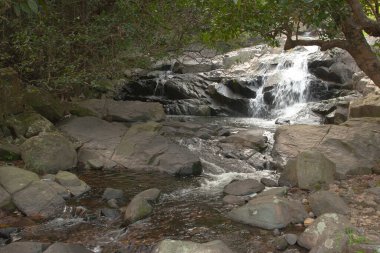Su, Hong Kong 'daki küçük Hawaii patikasına düşüyor.