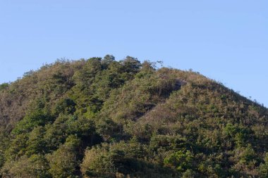 Razor Hill Hong Kong 'daki güzel orman yolu 17 Aralık 2006 