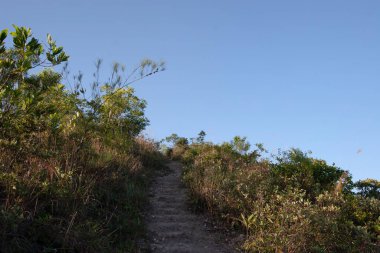 Razor Hill Hong Kong 'daki güzel orman yolu 17 Aralık 2006 