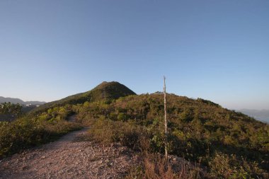 Razor Hill Hong Kong 'daki güzel orman yolu 17 Aralık 2006 