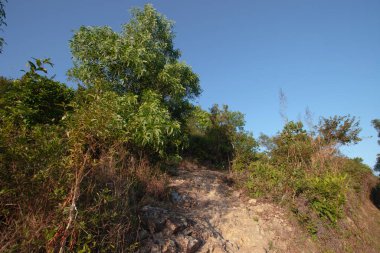 Razor Hill Hong Kong 'daki güzel orman yolu 17 Aralık 2006 