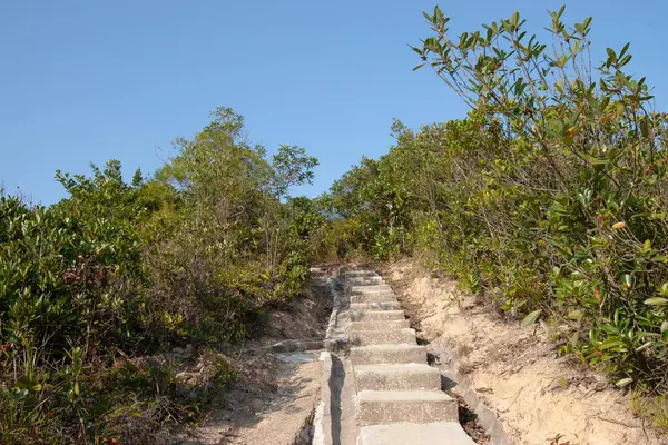 Δεκ 2006 Θέα Στη Φύση Στο Tai Tam Country Park — Φωτογραφία Αρχείου