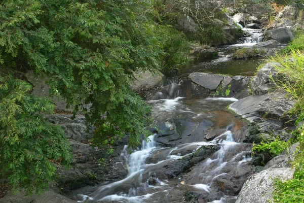 Water Fall Little Hawaii Trail Tko — Stock fotografie