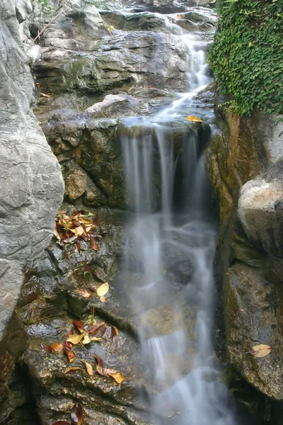 Jan 2005 Paisagem Hong Kong Park Hong Kong — Fotografia de Stock