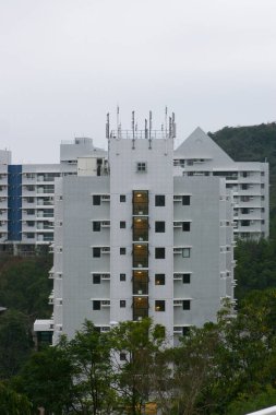 9 Ocak 2005 Hong Kong Bilim ve Teknoloji Üniversitesi Kamu Öğretmenliği.