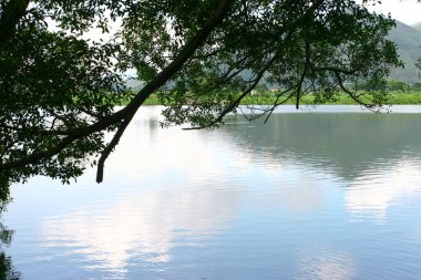 Shan Pui Tsuen 'deki balık havuzu, Yuen long HK