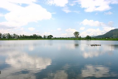 Shan Pui Tsuen 'deki balık havuzu, Yuen long HK