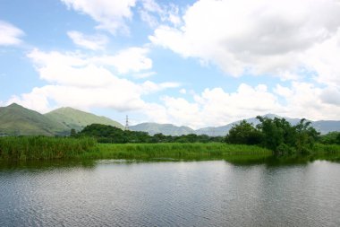Shan Pui Tsuen 'deki balık havuzu, Yuen long Hong Kong
