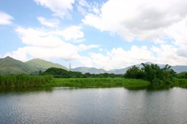 Shan Pui Tsuen 'deki balık havuzu, Yuen long Hong Kong