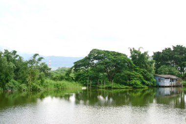 Shan Pui Tsuen 'deki göletin kenarındaki gözetleme evi, Yuen long Hong Kong 2 Temmuz 2005