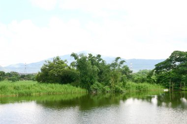 Shan Pui Tsuen 'deki balık havuzu, Yuen long Hong Kong