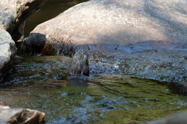 Hong Kong 'daki Nehir ve Gelinler Şelalesi.