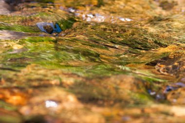 Hong Kong 'daki Nehir ve Gelinler Şelalesi.