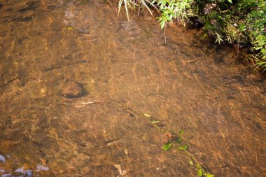 Hong Kong 'daki Nehir ve Gelinler Şelalesi.