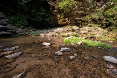 a Stream and Bride s Pool Waterfall in Hong Kong.
