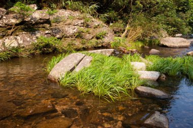 a Stream and Bride s Pool Waterfall in Hong Kong.