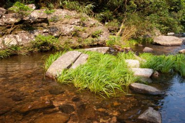 a Stream and Bride s Pool Waterfall in Hong Kong.