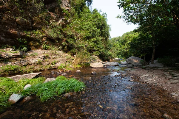 a Stream and Bride s Pool Waterfall in Hong Kong.