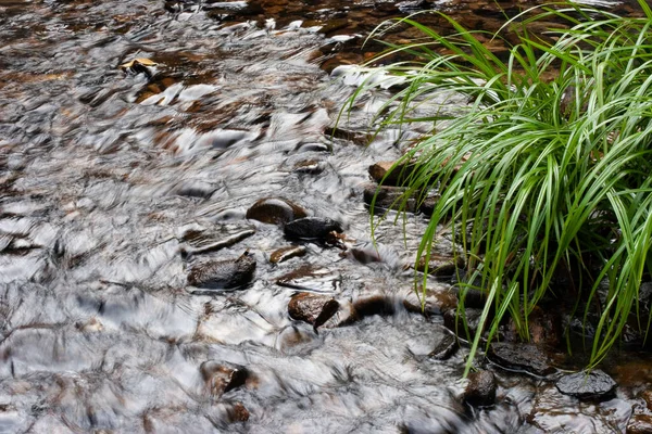 Stream Bride Pool Cachoeira Hong Kong — Fotografia de Stock