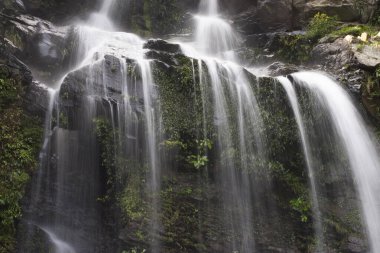a Waterfall at Bride Pool at the North East Region of the New Territories