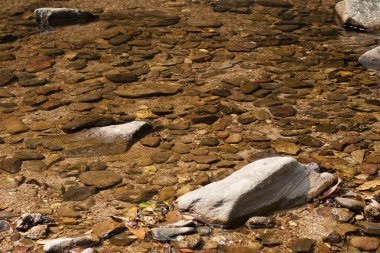 a River deep in mountain country park at hong kong