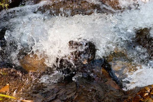 River Deep Mountain Country Park Hong Kong — Stock Photo, Image