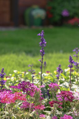 a multicolored flowerbed on a lawn the spring garden
