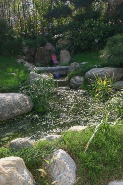 zen Japon bahçesi, Japon tarzı bahçe.