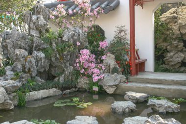 Asya bahçesinde bahar çiçekleri