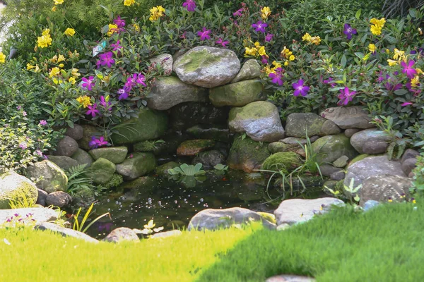 Perfect Backyard Landscape Design Tropical Garden — Stok Foto