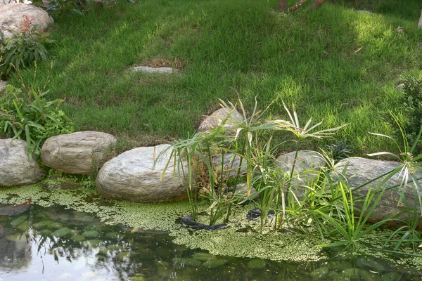 Zen Japanese Garden Japanese Style Garden — Stock Photo, Image