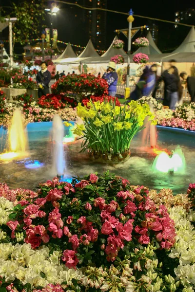 Maart 2005 Hong Kong Flower Show Victoria Park Hong Kong — Stockfoto