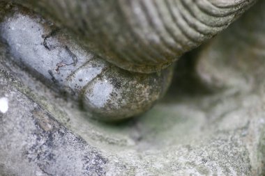 25 march 2005 a Lion statue stone of close up