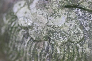 25 march 2005 a Lion statue stone of close up