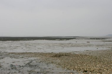 26 March 2005 the air pollution at Lau Fau Shan, hk