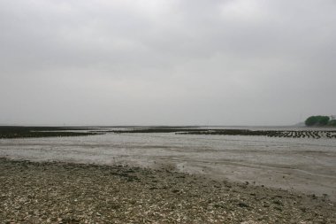 26 March 2005 the air pollution at Lau Fau Shan, hk