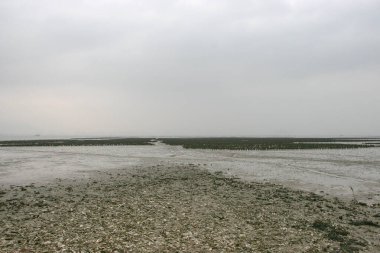 26 March 2005 the air pollution at Lau Fau Shan, hk