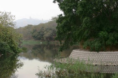 26 March 2005 the waste land and pond at the hong kong