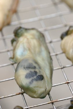 Large cleaned oysters set out for drying on close up