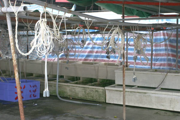 商贩在刘浮山出售咸鱼 — 图库照片