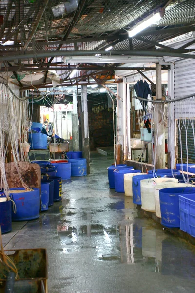 Vendors Sell Salted Fishes Lau Fau Shan March 2005 — Foto de Stock