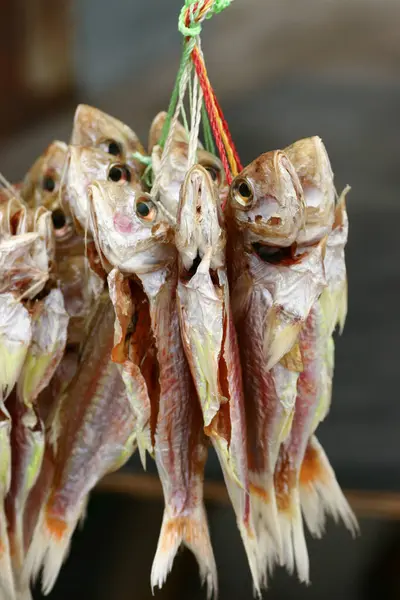 2005年3月26日贝类 虾类和海鲜在香港上市销售 — 图库照片