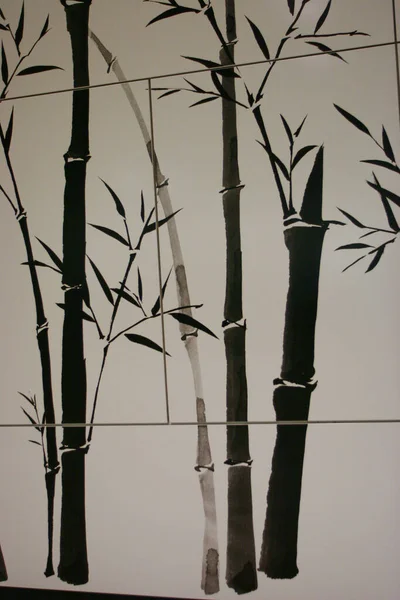 Bambu Gövde Yüzeyinde Desen Oluşturur — Stok fotoğraf