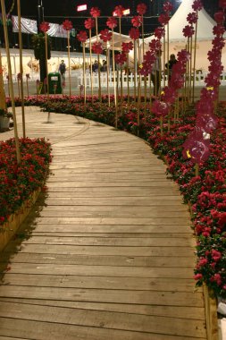 19 Mart 2005, Hong Kong Çiçek Fuarı Victoria Park, Hong Kong