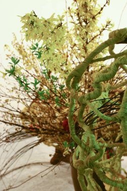 Hong Kong çiçek fuarındaki ikebana gösterisi, 20 Mrach 2005