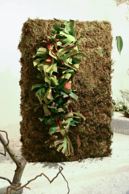 Hong Kong çiçek fuarındaki ikebana gösterisi, 20 Mrach 2005